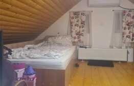 Garsoniera la casa cu curte, zona Orasul de Jos 