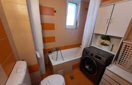 Apartament 2 camere, 56 mp, etaj intermediar, zona Terezian