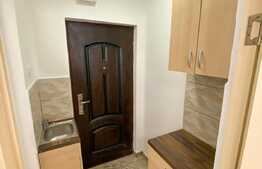 Garsoniera 18 mp, recent renovata, zona Lazaret