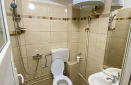 Garsoniera 18 mp, recent renovata, zona Lazaret