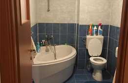 Apartament 3 camere pe doua niveluri, 69 mp, zona Ciresica