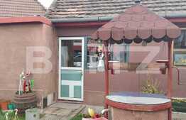 Casa de 308 mp, partial mobilata, zona Turnisor!