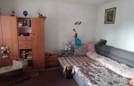 Casa de 308 mp, partial mobilata, zona Turnisor!