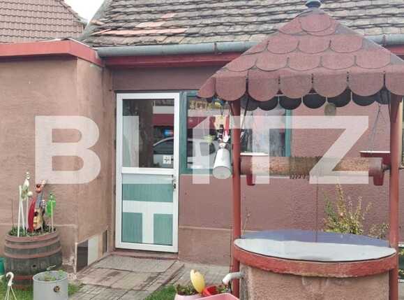 Casa de vânzare 5 camere Turnisor - 83828CV | BLITZ Sibiu | Poza2