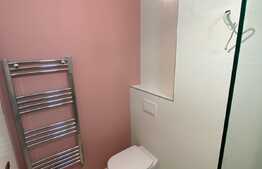 Apartament 2 camere decomandate, recent renovat, Aleea Frații Buzești