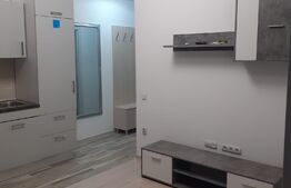 Apartament 2 camere, 38 mp, zona Doamna Stanca