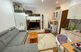 Garsonieră LA CHEIE, curte renovată, zona Piața Cluj