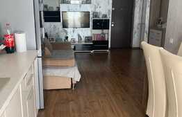 Apartament de 2 camere, 45 mp, parcare, zona Doamna Stanca