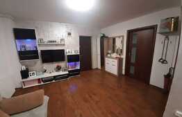 Apartament de 2 camere, 45 mp, parcare, zona Doamna Stanca