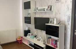 Apartament de 2 camere, 45 mp, parcare, zona Doamna Stanca