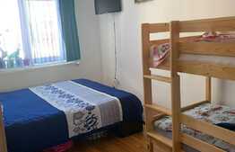 Apartament de 2 camere, 55 mp, decomandat, Selimbar!