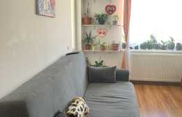 Apartament de 2 camere, 55 mp, decomandat, Selimbar!