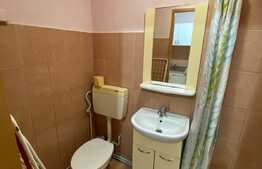 Garsonieră de 21 mp utili, mobilata si utilata, zone Lazaret