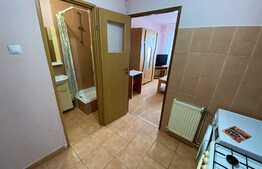 Garsonieră de 21 mp utili, mobilata si utilata, zone Lazaret