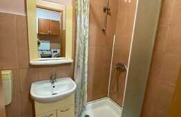 Garsonieră de 21 mp utili, mobilata si utilata, zone Lazaret