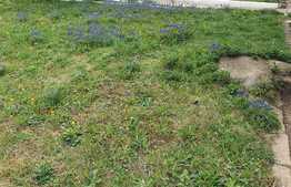 Apartament 3 cam 60 mp zona Vasile Aaron