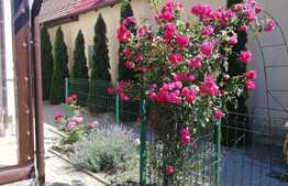 Casa individuala, 192 mp, teren 500 mp, zona Turnisor