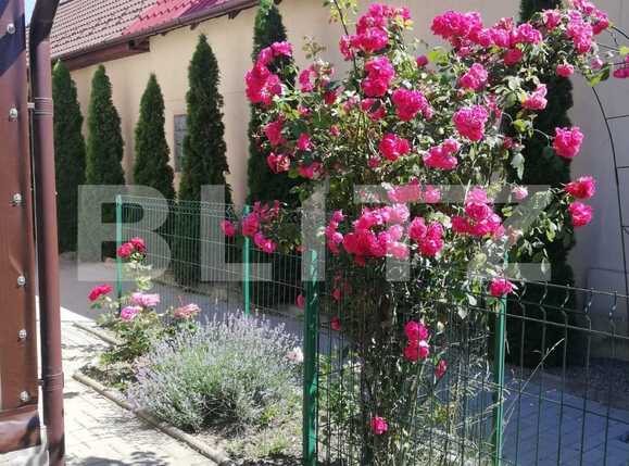 Casa de vânzare 4 camere Turnisor - 84851CV | BLITZ Sibiu | Poza17