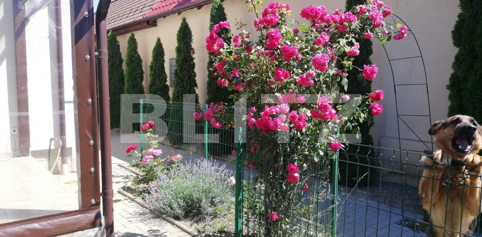 Casa de vânzare 4 camere Turnisor - 84851CV | BLITZ Sibiu | Poza17