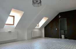 Casa cu 6 camere, 242 mp, zona  Centrul Istoric