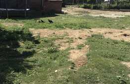 Casa cu 3 camere, 65 mp, zona Loamnes 