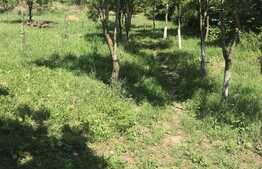 Casa cu 3 camere, 65 mp, zona Loamnes 