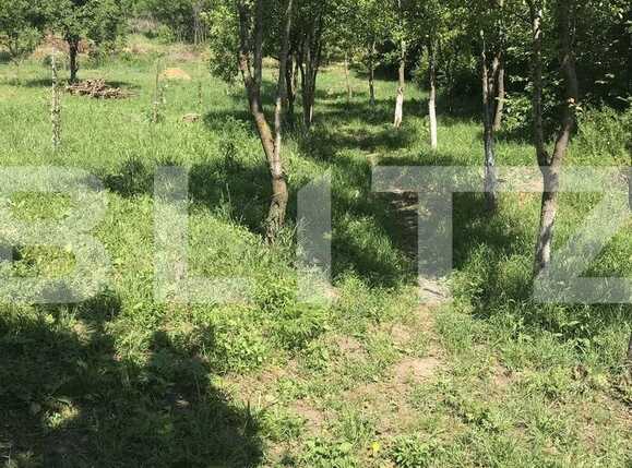 Casa de vânzare 3 camere Periferie - 85022CV | BLITZ Sibiu | Poza6