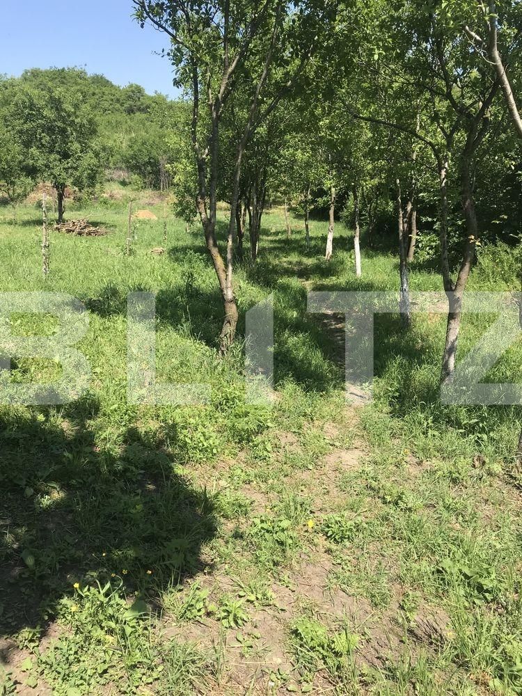 Casa de vânzare 3 camere Periferie - 85022CV | BLITZ Sibiu | Poza6