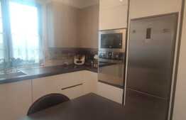 Casa deosebita, 120 mp,1100 mp teren, in Sura Mica