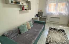 Garsoniera moderna, 24 mp, zona Vasile Aaron