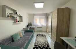 Garsoniera moderna, 24 mp, zona Vasile Aaron