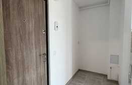 Garsoniera complet renovata, 26 mp, decomandata, Vasile Aaron