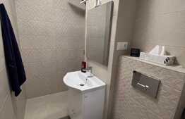 Garsoniera complet renovata, 26 mp, decomandata, Vasile Aaron