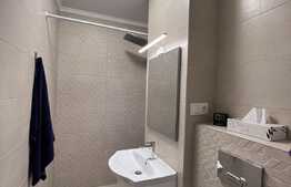 Garsoniera complet renovata, 26 mp, decomandata, Vasile Aaron