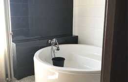 Apartament la mansarda, 2 camere, 96mp, Terezian