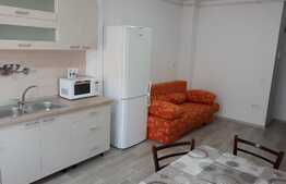 Apartament 2 camere, 40 mp, zona linistita, Turnisor 