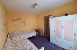 Casa tip duplex cu curte in Turnisor