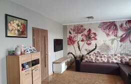 Casa tip duplex cu curte in Turnisor