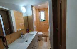 Casa tip duplex cu curte in Turnisor