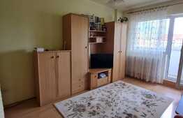 Garsoniera spatioasa| Strand 