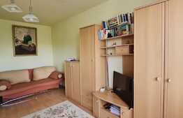 Garsoniera spatioasa| Strand 