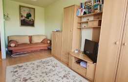 Garsoniera spatioasa| Strand 