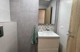 Apartament 3 camere, plus 82mp de curte