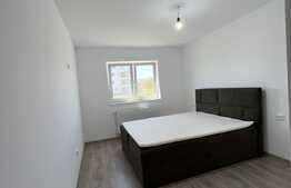 Apartament 3 camere, plus 82mp de curte