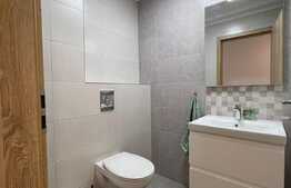 Apartament 3 camere, plus 82mp de curte