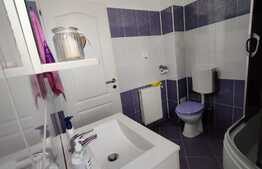 Apartament cu 3 camere, decomandat, 71mp, in Turnisor, cartierul Alma