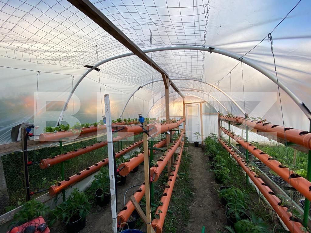 Casa de vânzare 3 camere Sud Est - 87487CV | BLITZ Sibiu | Poza7