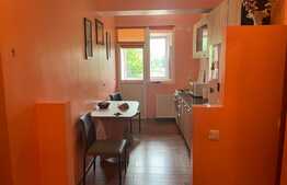 Garsoniera Tip Studio, 43 mp, decomandat, Otelarilor 