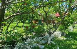 Casa cu teren de 663 mp, Daia Noua 