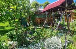 Casa cu teren de 663 mp, Daia Noua 